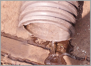 음식물쓰레기가 미생물에 의해 물로 변하는 과정