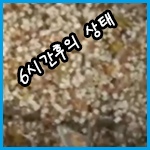 6시간후 처리결과.png